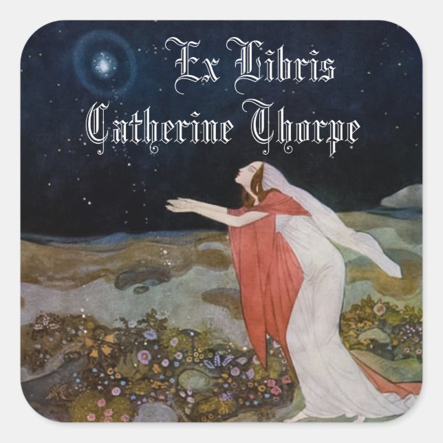 Sticker Carré Voleurs de l'autocollant de plaque légère (Devant)