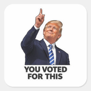 Sticker Carré Vous avez voté pour ce mème d'humour politique pri