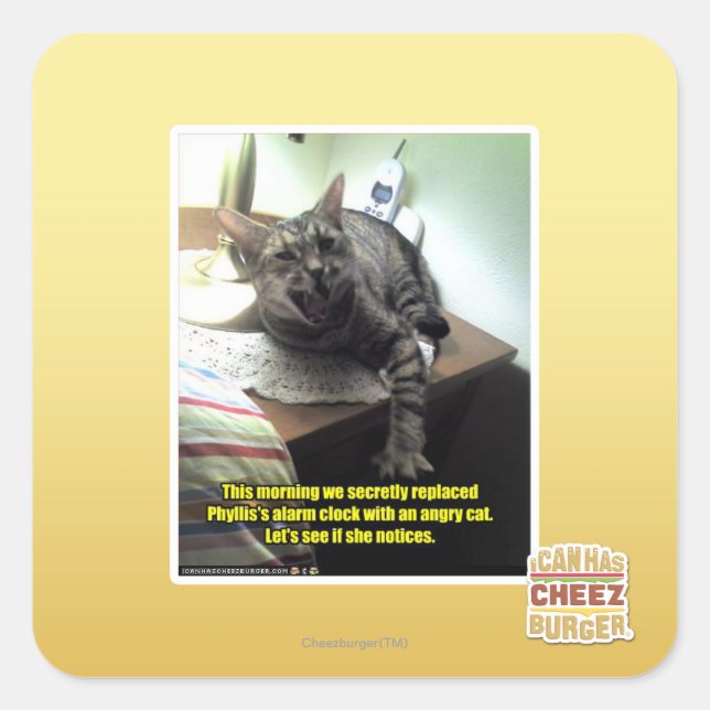 Sticker Carré Voyons si elle le remarque. (Devant)