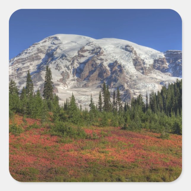Sticker Carré WA, Parc national du Mont-Rainier, Vallée du Parad (Devant)