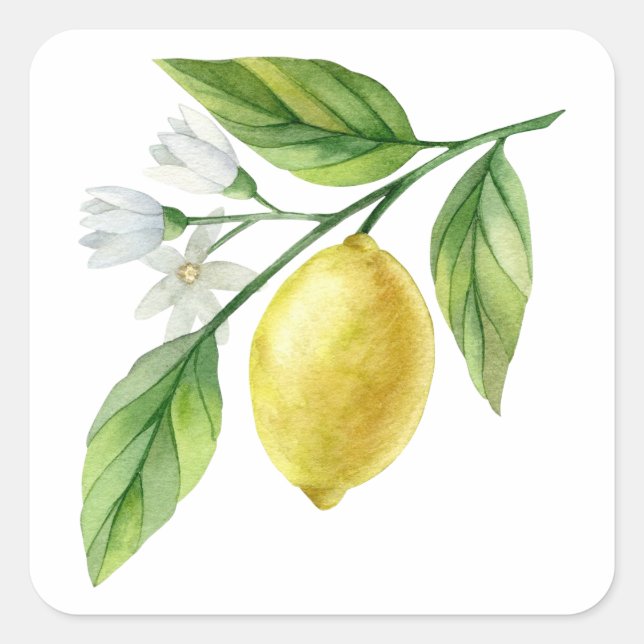 Sticker Carré Watercolor Lemon Pattern Poster (Devant)