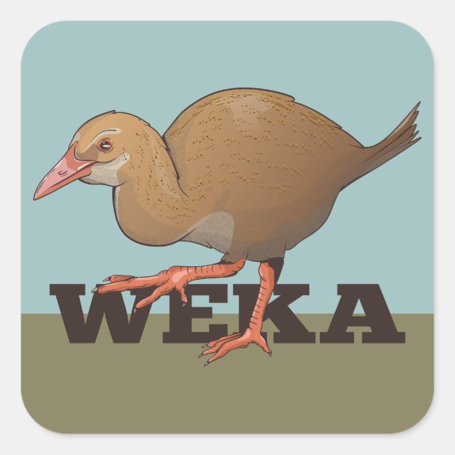 Sticker Carré Weka New Zealand Bird (Devant)