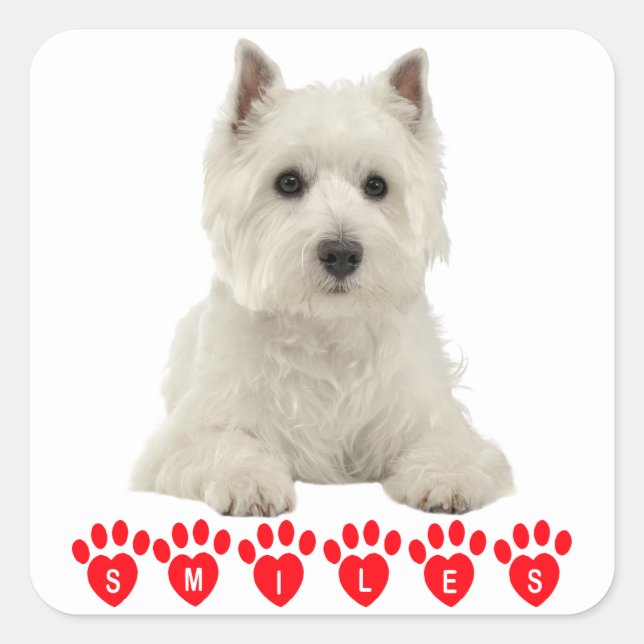 Sticker Carré West Highland Terrier Chien blanc Chien blanc Bonj (Devant)