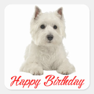 Sticker Carré West Highland Terrier Chien Chien roux Joyeux anni