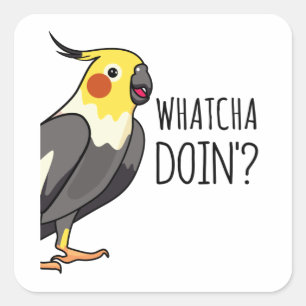 Sticker Carré Whatcha Doin Parrot vous regarde