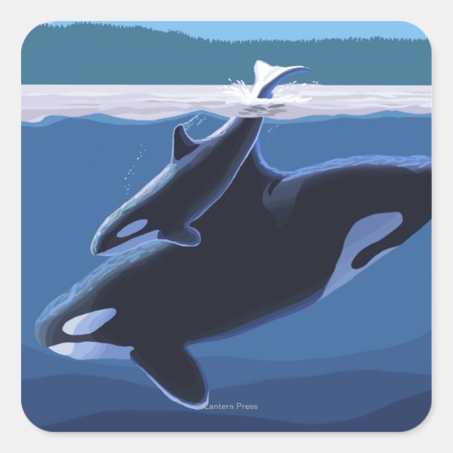 Sticker Carré Whidbey Island, Washington Orca et Calf (Devant)