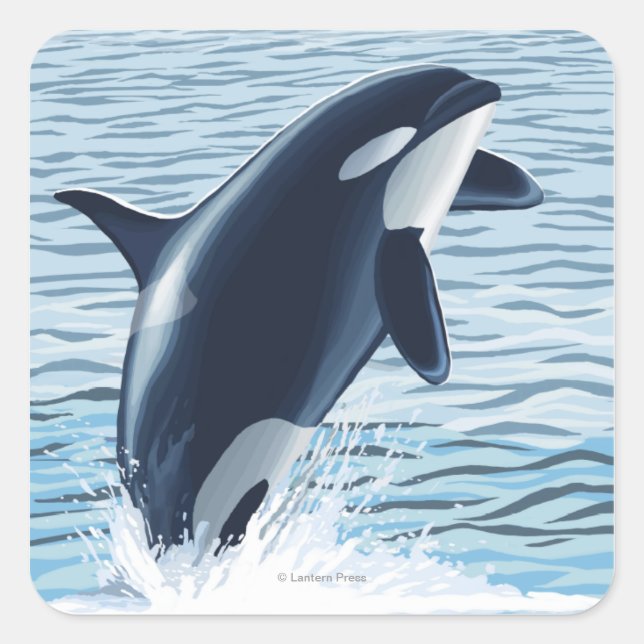 Sticker Carré Whidbey Island, Washington Orca Jumping (Devant)