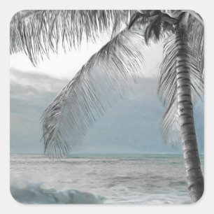 Sticker Carré White Palm Coconut Tree Elégant Mariage de plage
