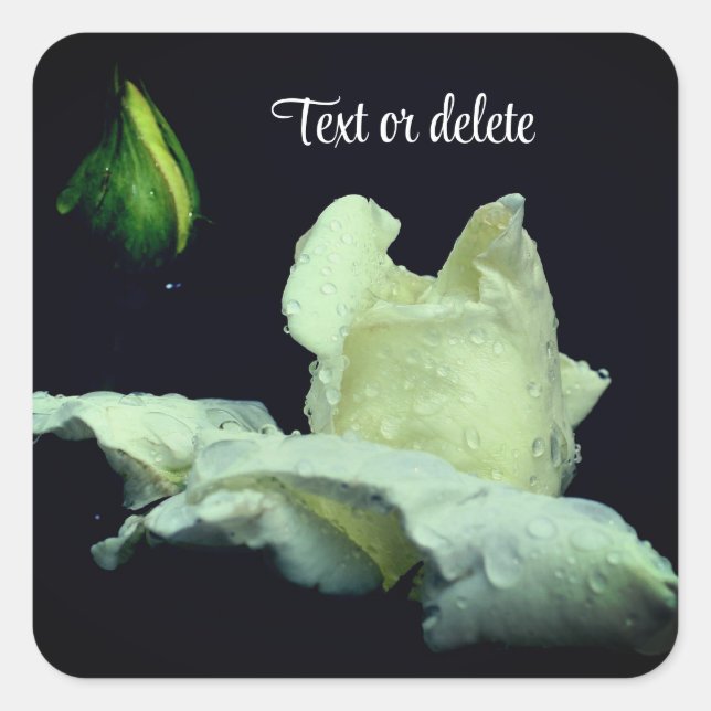 Sticker Carré White Rosebud After Rain Personalized (Devant)