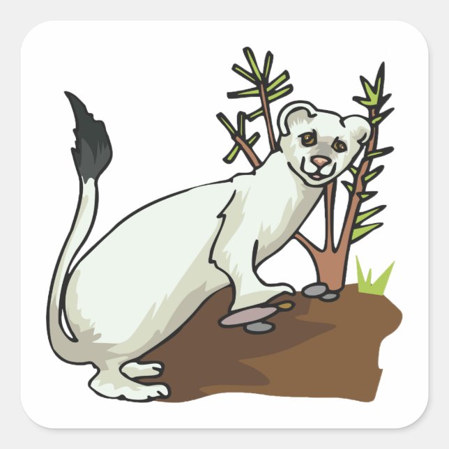 Sticker Carré White Weasel Wildlife (Devant)