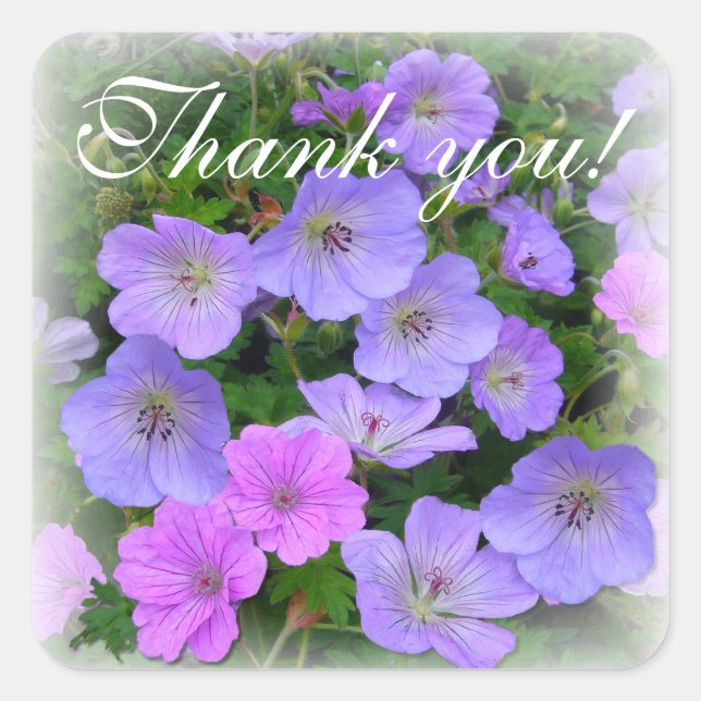 Sticker Carré WILD GERANIUM ~ Carré Enveloppe Sealer/Sticker (Devant)