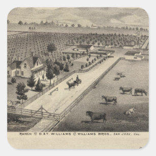 Sticker Carré Williams Ranch, carrière de Goodrich