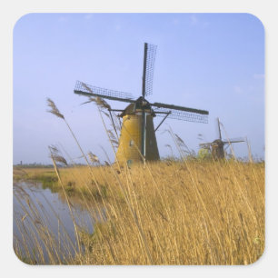 Sticker Carré Windmills le long du canal à Kinderdijk, 2