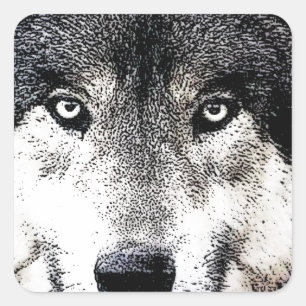 Sticker Carré Wolf Eyes
