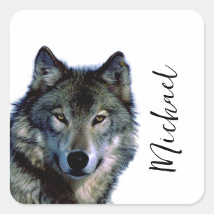 Sticker Carré Wolf Portrait Votre nom Écriture personnalisée