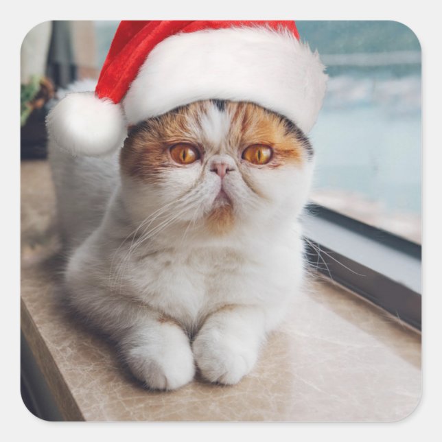 Sticker Carré Wonderful persian cat with Santa Claus (Devant)