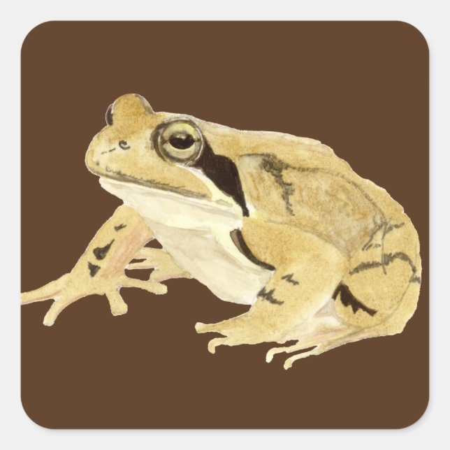 Sticker Carré Wood Frog (Devant)