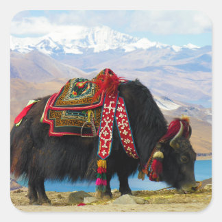 Sticker Carré Yak Bos Grunniens près du lac Yamdrok Tibet