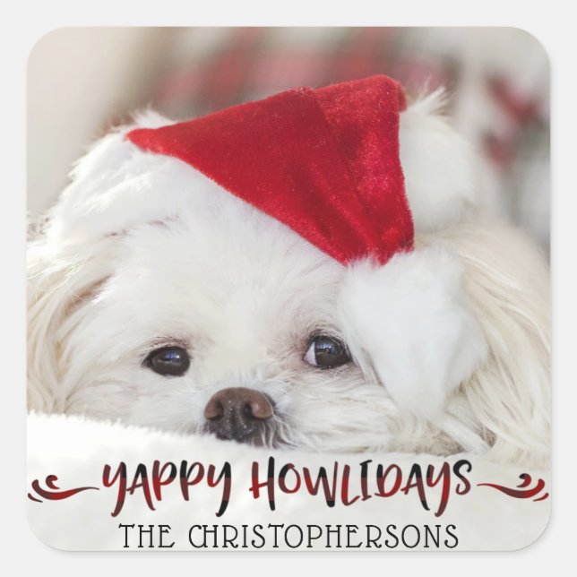 Sticker Carré YAPPY HOWLIDAYS Chien Photo Holiday (Devant)