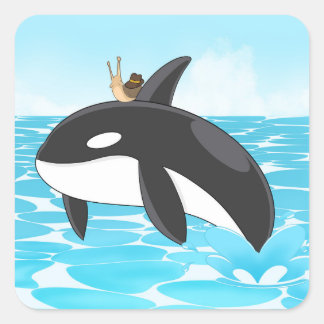 Sticker Carré Yeehaw Orca