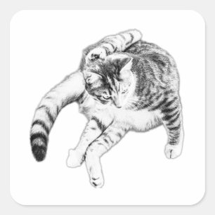 Sticker Carré Yoga, Mais Faites-Le Chat