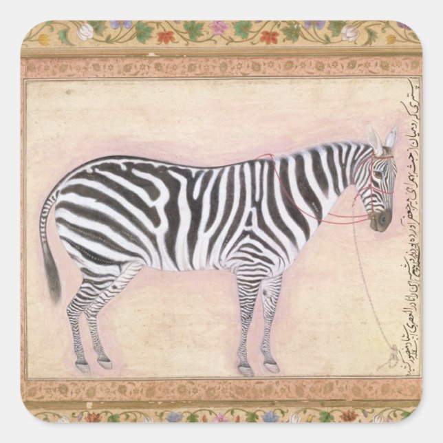 Sticker Carré Zebra, de l'album Minto, 1621 (gouache sur pa (Devant)