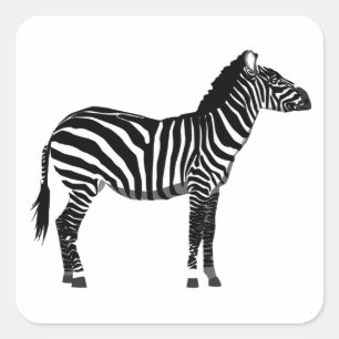 Sticker Carré Zebra en bandes noir et blanc