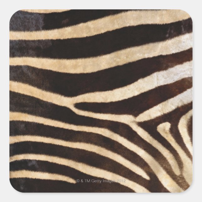 Sticker Carré Zebra hide 2 (Devant)
