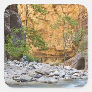 Sticker Carré Zion Narrows