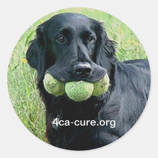 Sticker Casey (Devant)