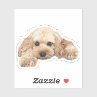Sticker Cavapoo Cavoodle Cockerpoo Chien de concepteur de 