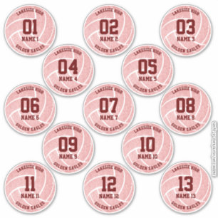 Sticker ceinture rose de 13 volleyball
