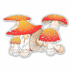 Sticker Champignons rouges et oranges