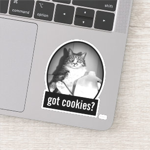 Sticker Chat Boire Du Lait De Jug