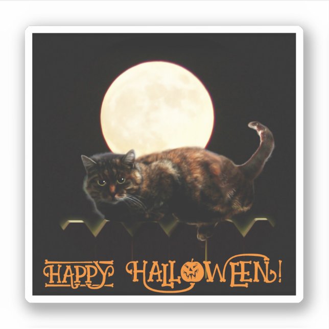 Sticker Chat et la Pleine lune (Devant)