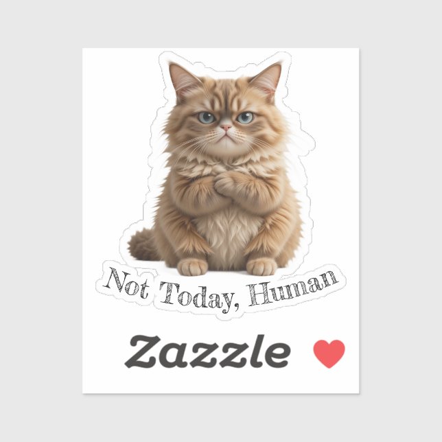 Sticker Chat Grumpy "Pas aujourd'hui, humain" Drôle Mème a (Feuille)