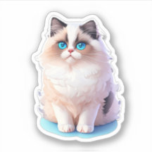 Sticker chat mignon d'un Clipart chat Ragdoll