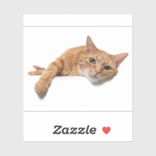 Sticker Chat Orange Posé Vers Le Bas