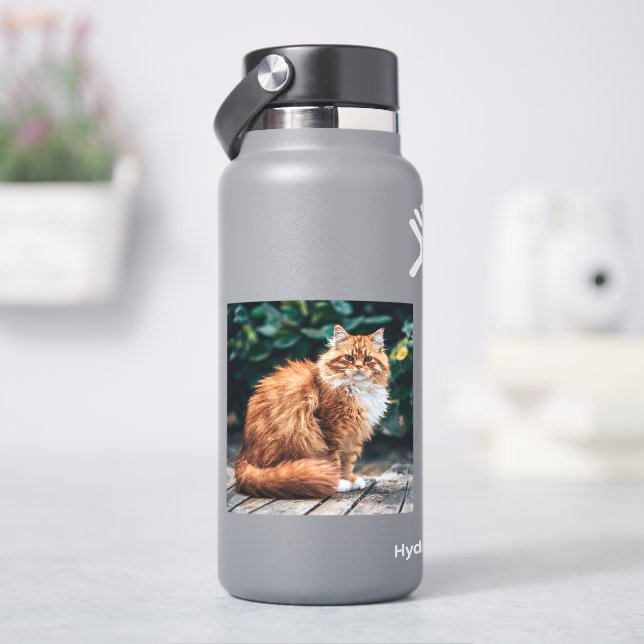 Sticker Chat perse orange (HydroFlask)
