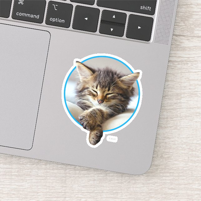 Sticker Chaton couchant (Détail)