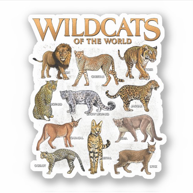 Sticker Chats sauvages Animaux du monde éducatif Wild An (Devant)