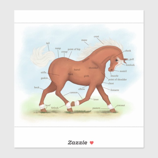 Sticker Cheval Sorrel Trotting Diagramme équestre Sti (Feuille)