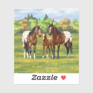Sticker Chevaux Appaloosa De Baie Brown En Pâturage D'Été
