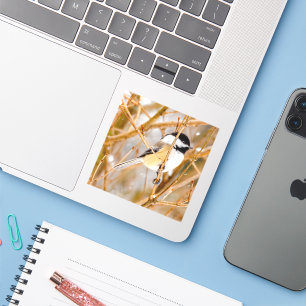 Sticker Chickadee au plafond noir - Photo originale