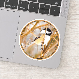 Sticker Chickadee au plafond noir - Photo originale