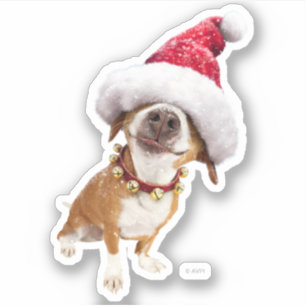 Sticker Chien avec un grand chapeau de Père Noël