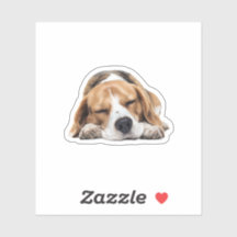 Chien Beagle Sleepy - Convivial Confectionné pour 