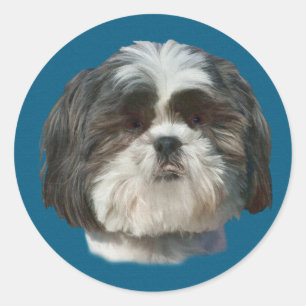 Sticker Chien Chien Shih Tzu