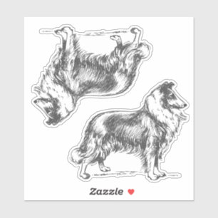 Sticker Chien colley