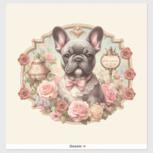 Chien de La Vie en Frenchie
